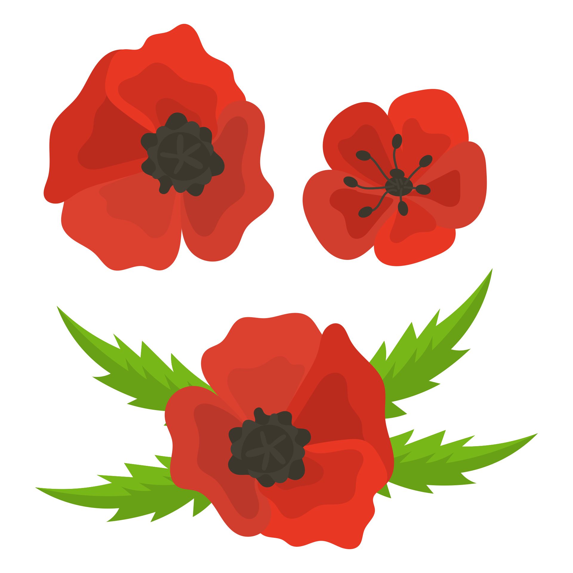 Poppy Template 15 Free PDF Printables Printablee Poppy Template 15 Free PDF Printables Printablee