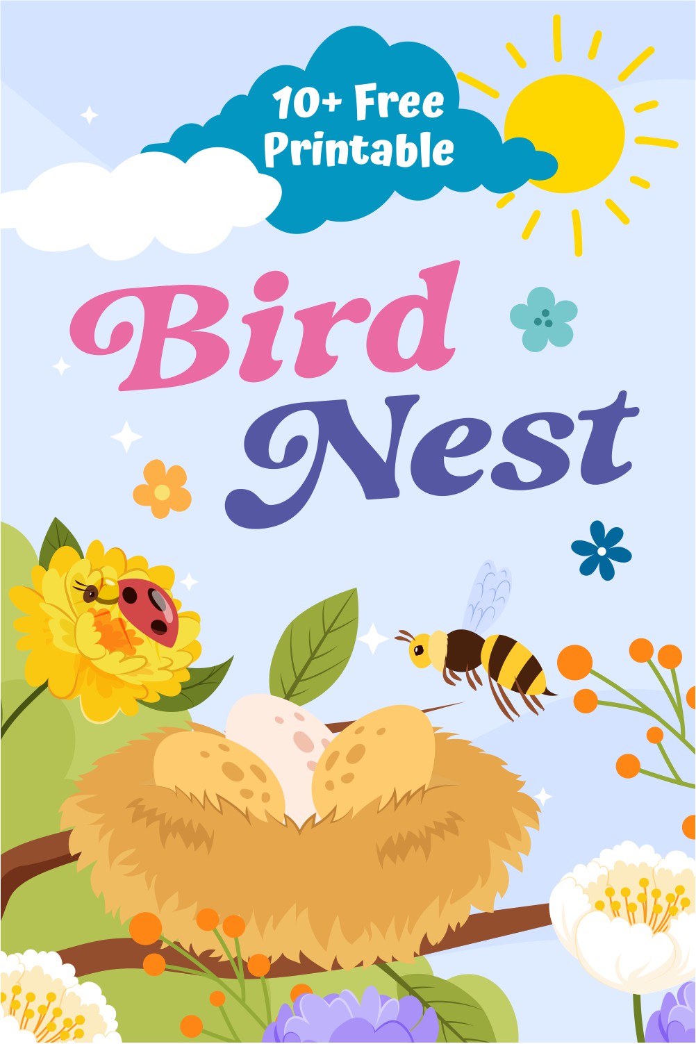 Bird Nest Bird Nest
