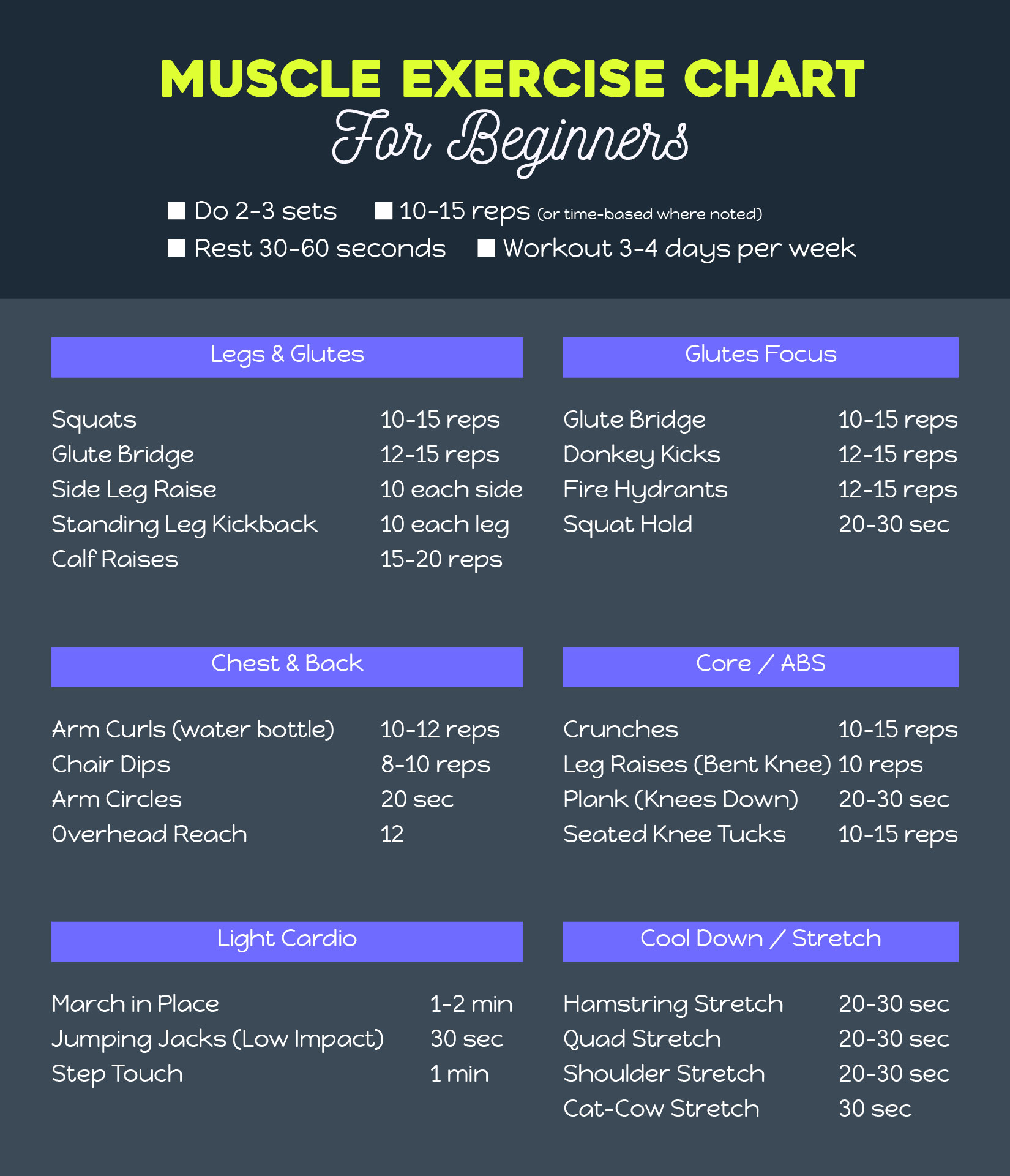 Muscle Exercise Charty For Beginners At Home