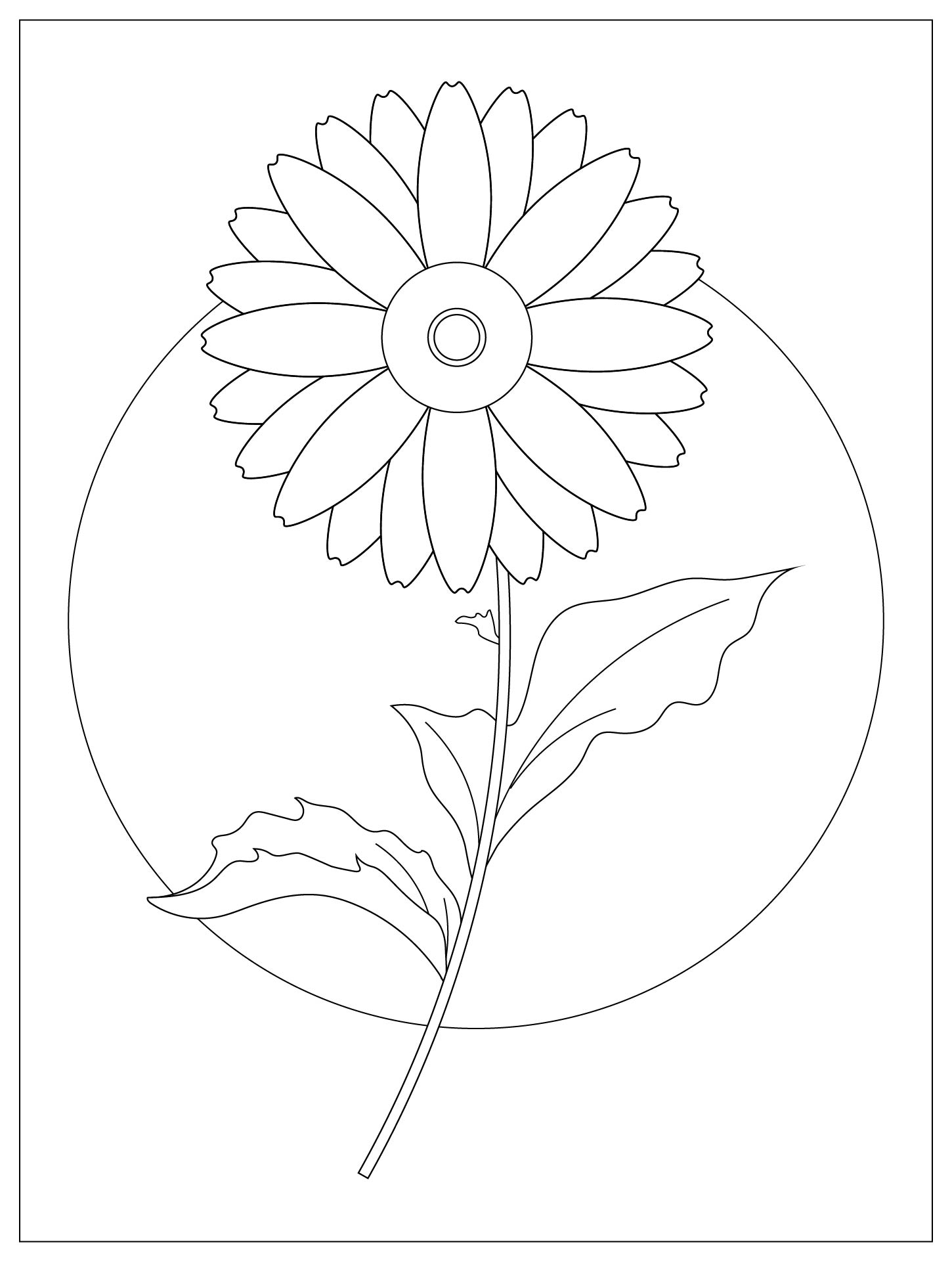 Printable Daisy Flower Coloring Sheets