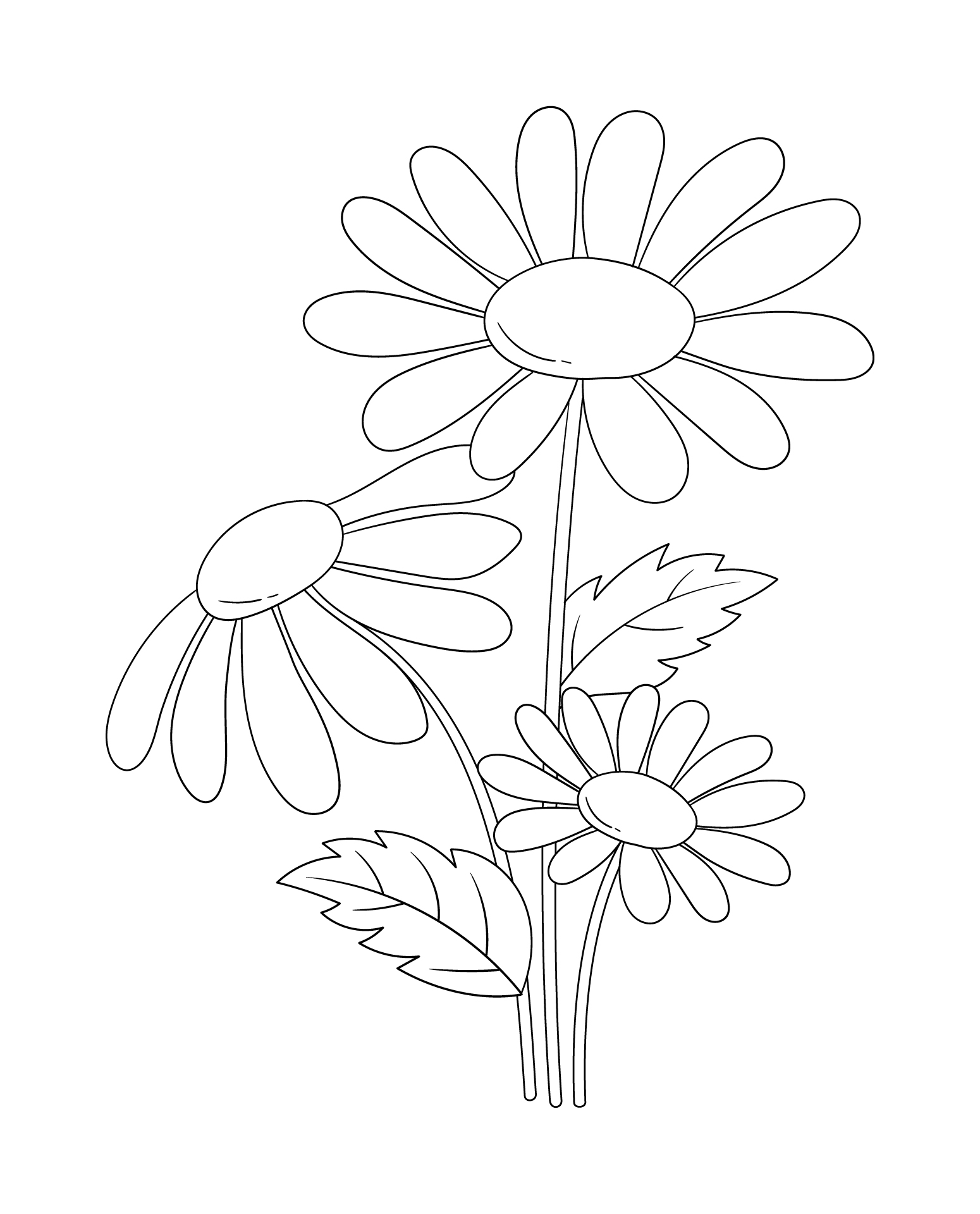 Springtime Daisy Flower Printable Coloring Pages