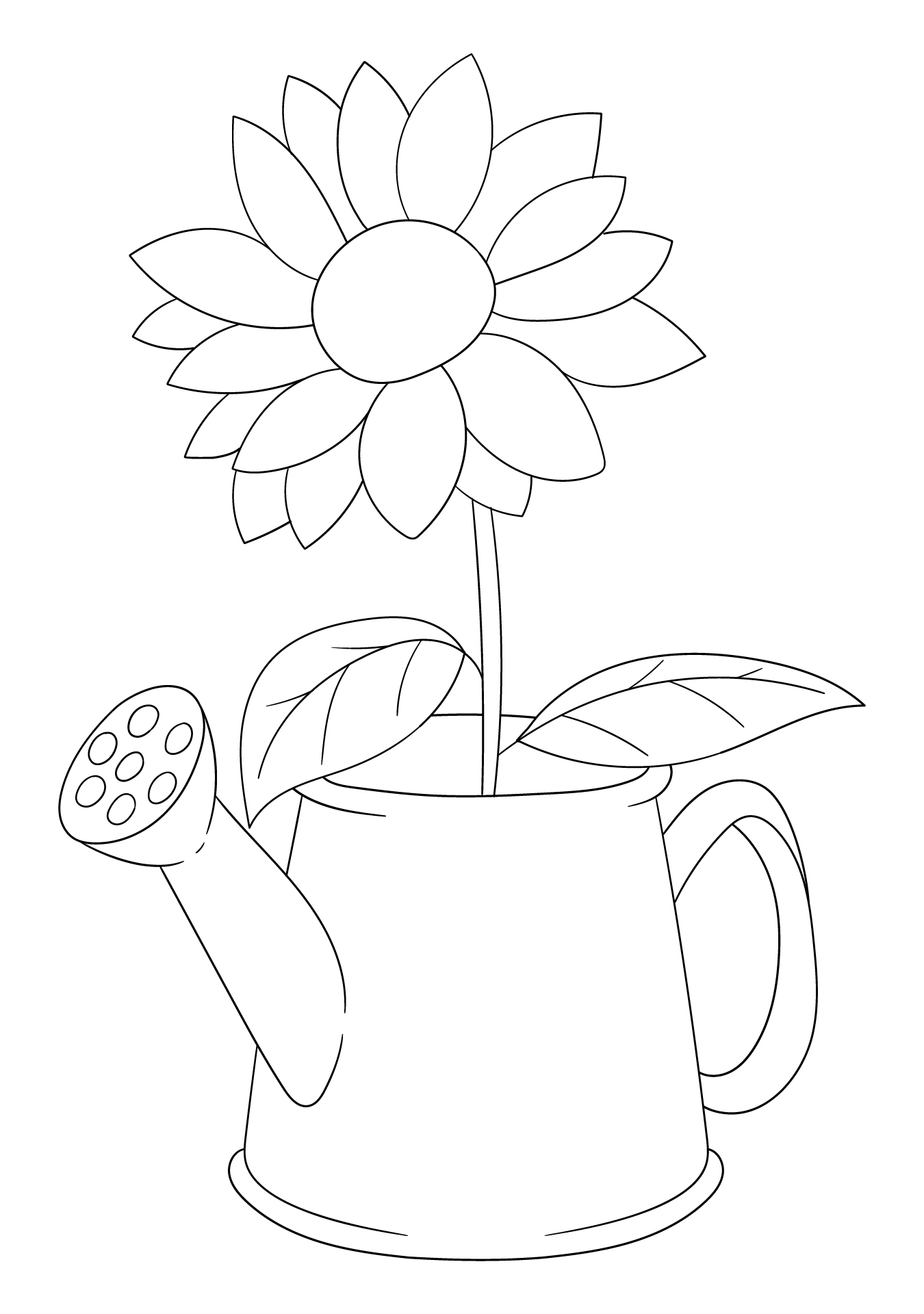 Sunflower And Spring Blossoms Coloring Printables