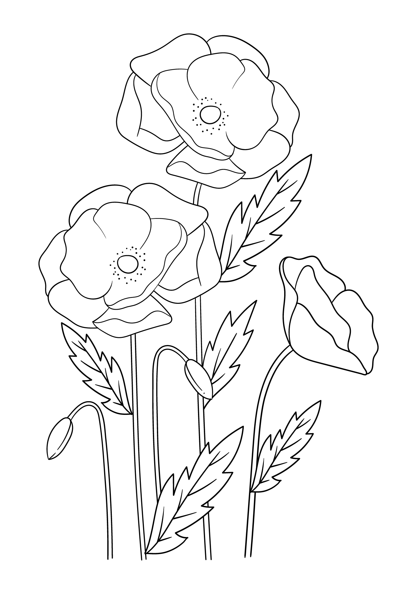 Printable Poppy Field Coloring Pages For Mindfulness