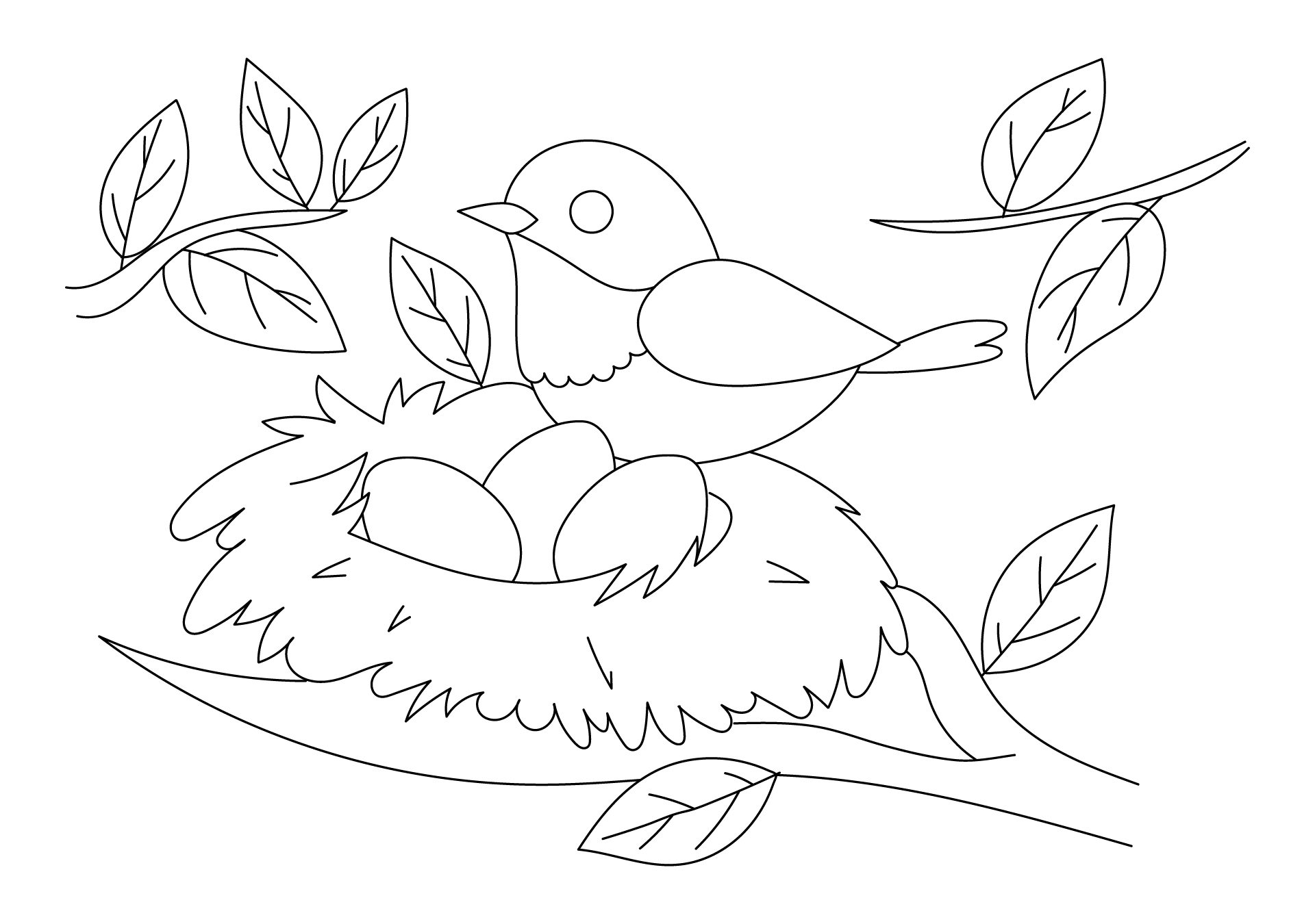 Bird Nest Spring Coloring Page Bird Nest Spring Coloring Page
