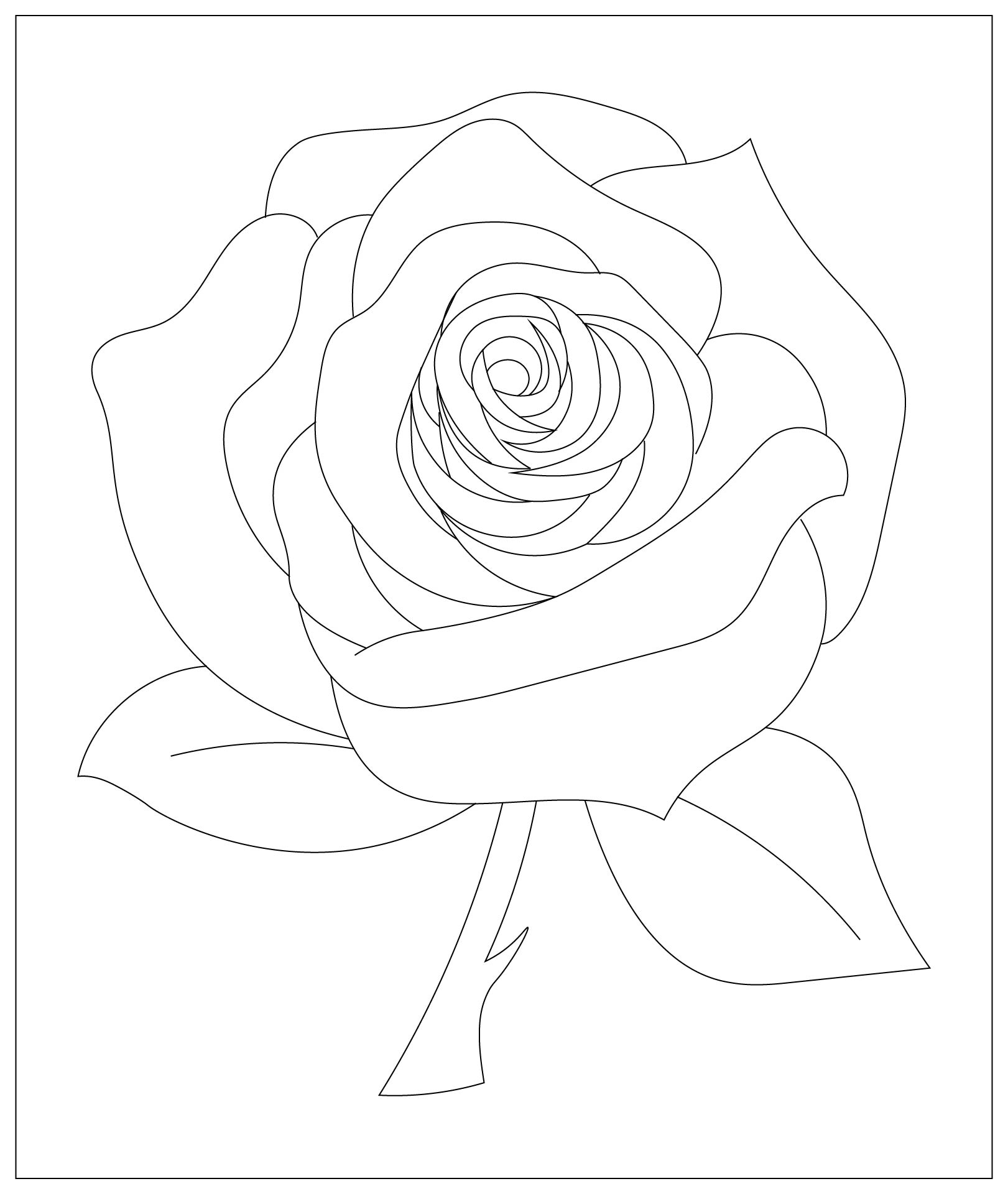Rose Flower Coloring Page