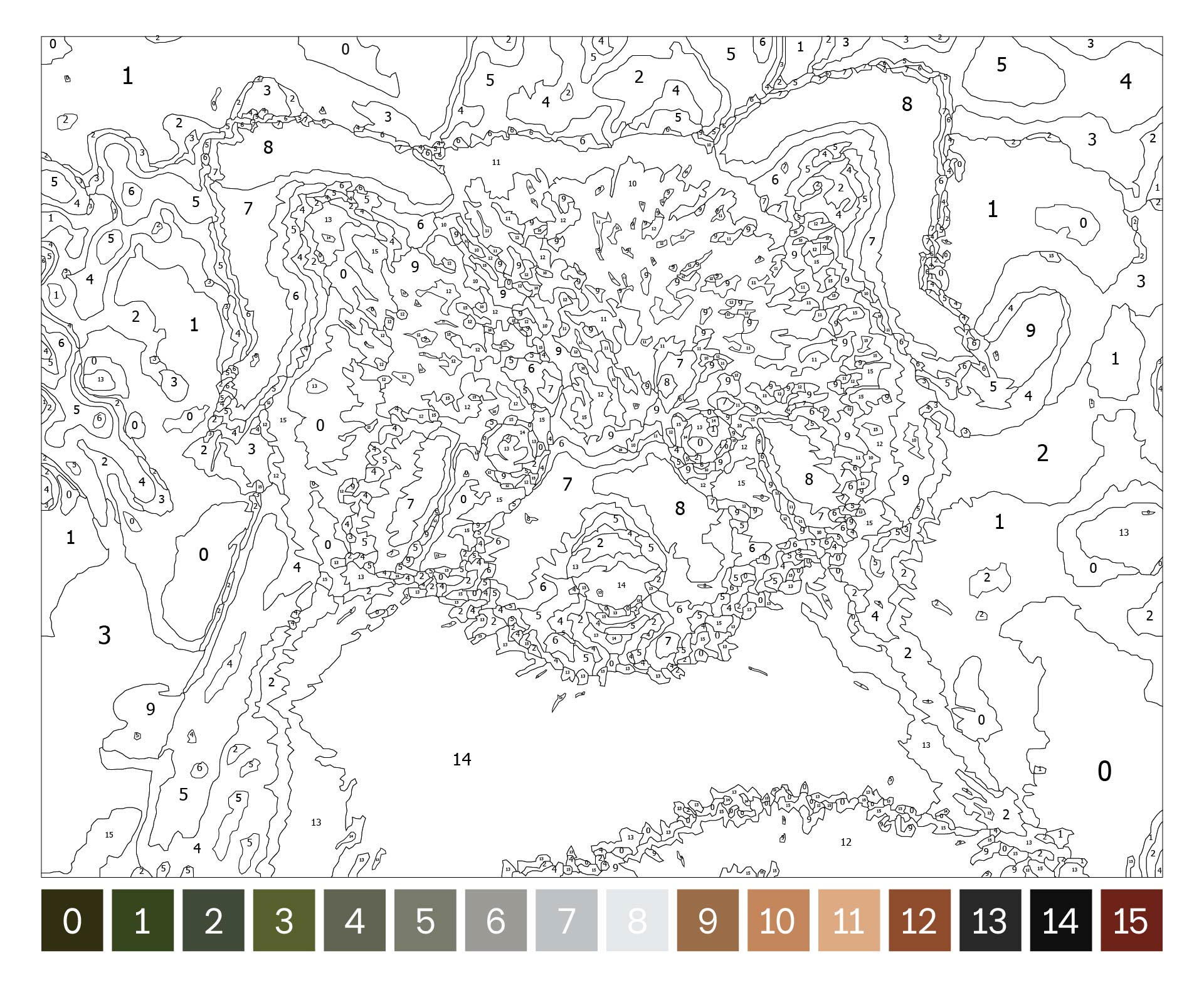 Animal Color By Number For Adults