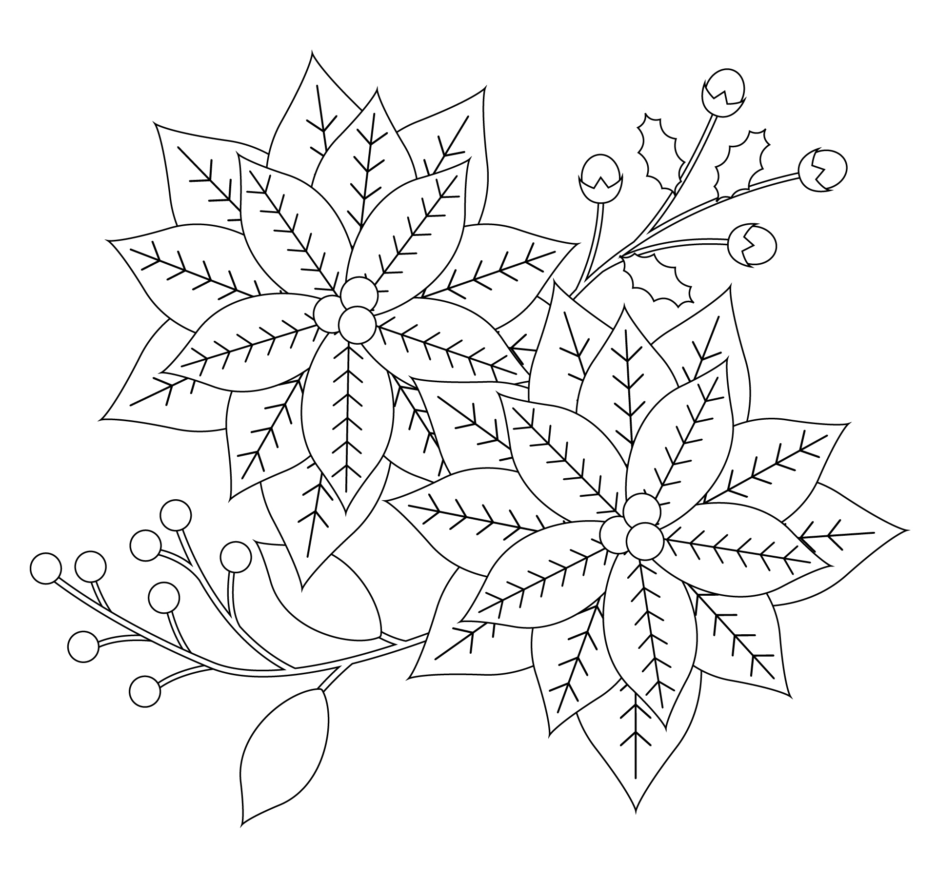 Printable Poinsettia Flower Coloring Pages