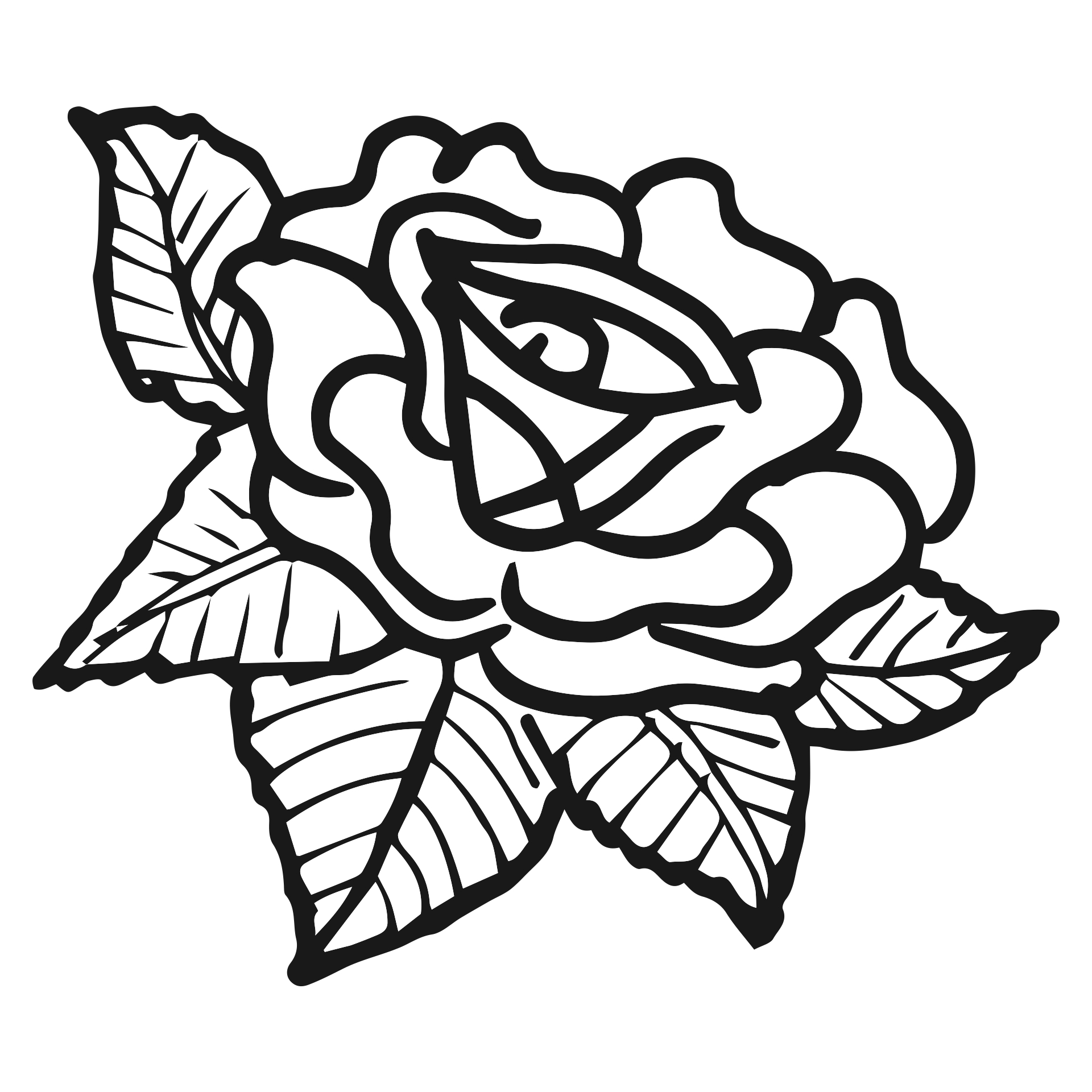 Zentangle Rose Designs Printable Patterns