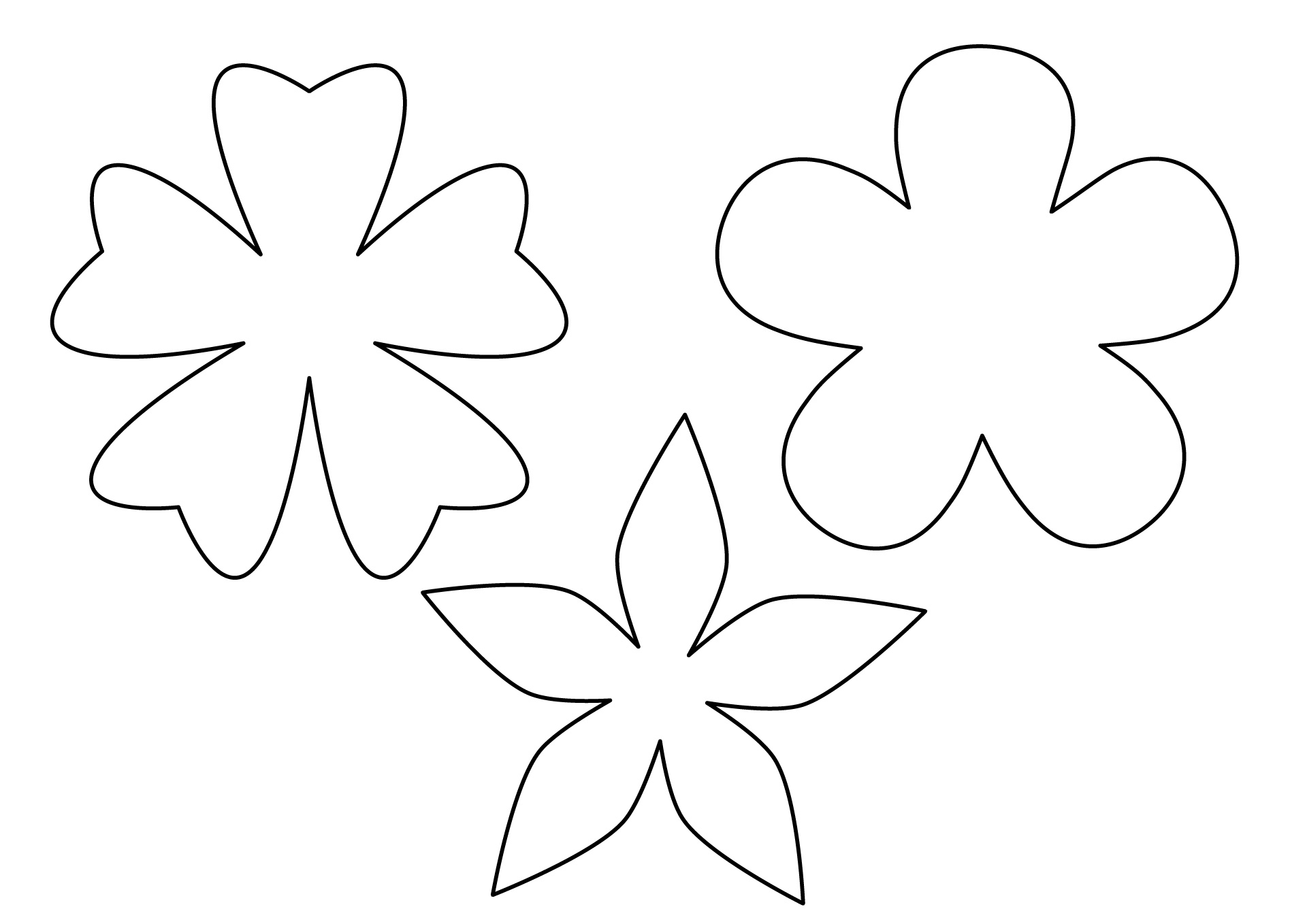 Paper Flower Petal Patterns Paper Flower Petal Patterns