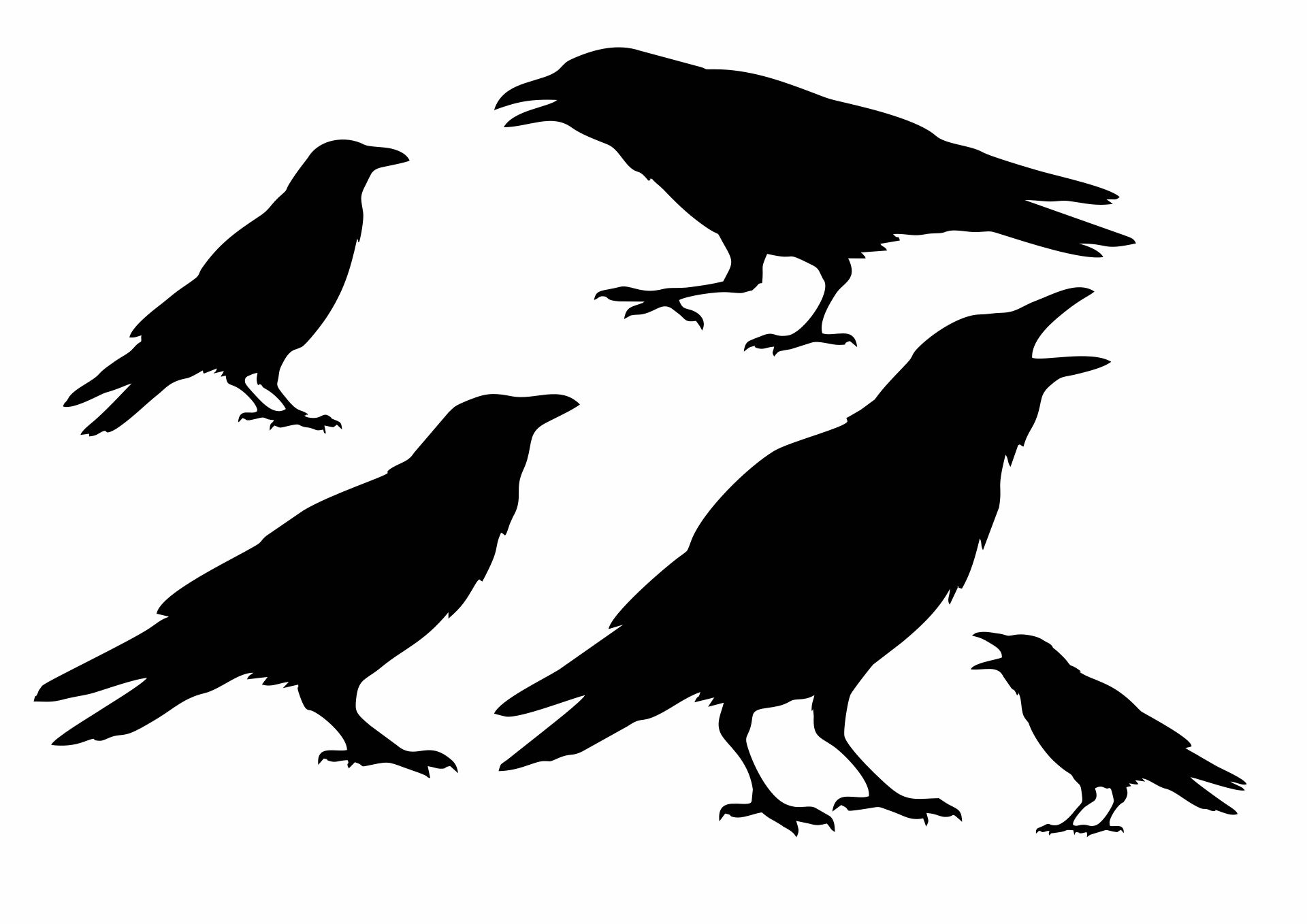 Printable crow silhouette patterns Printable crow silhouette patterns