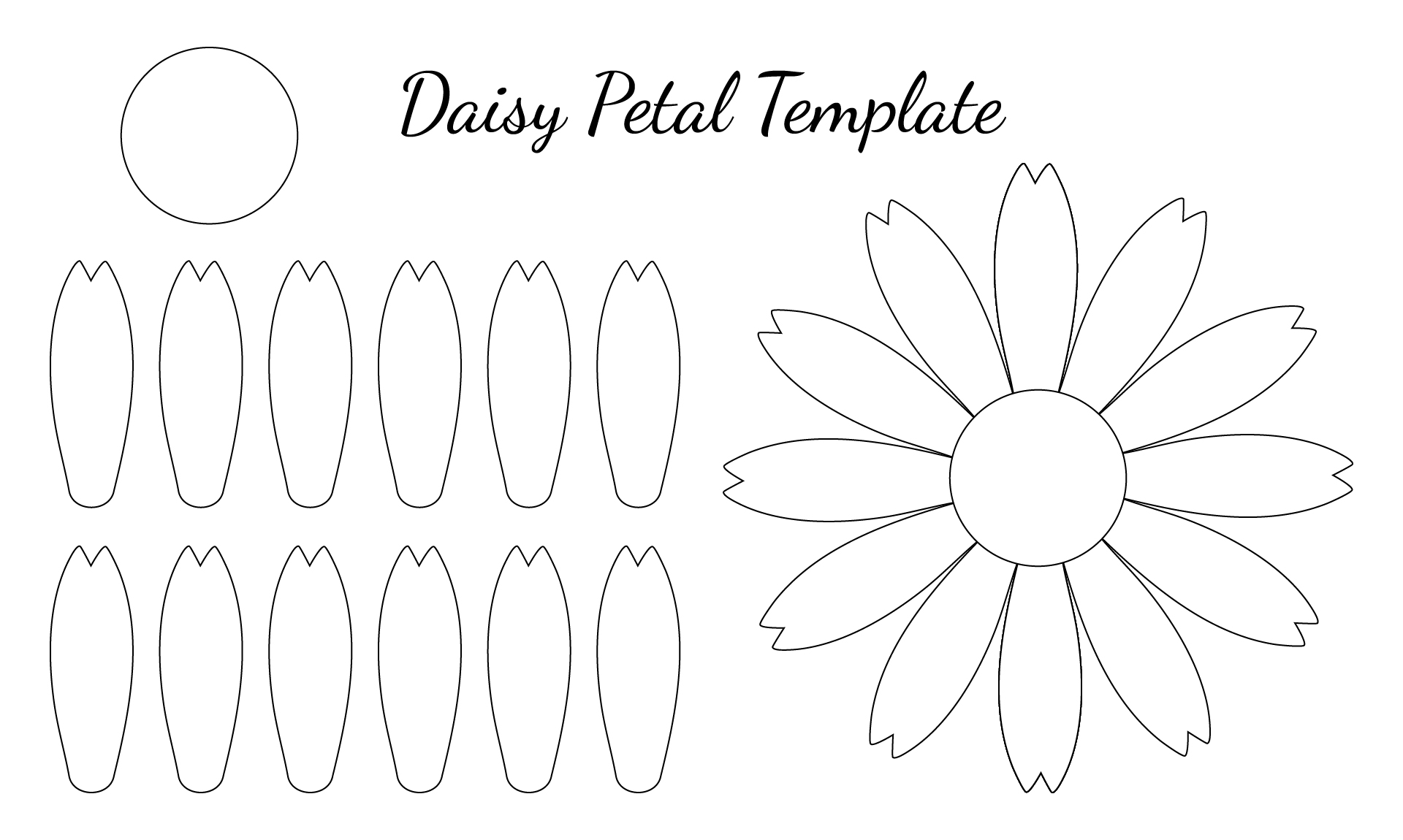Printable Daisy Petal Template Printable Daisy Petal Template