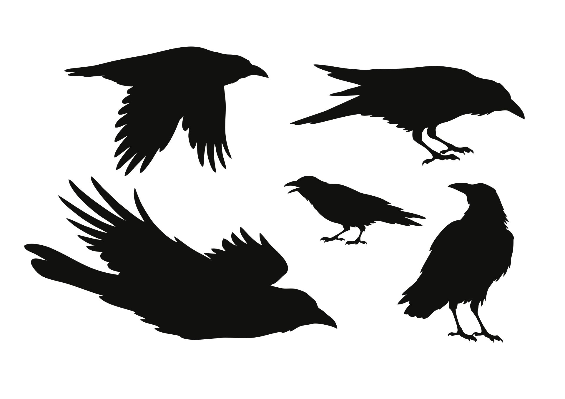 Printable flying crow patterns Printable flying crow patterns
