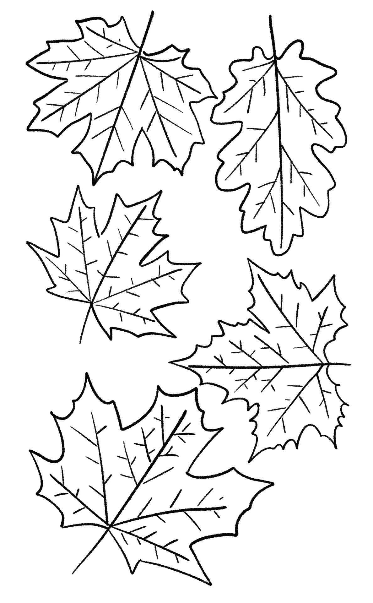 Autumn Leaves Coloring Sheets