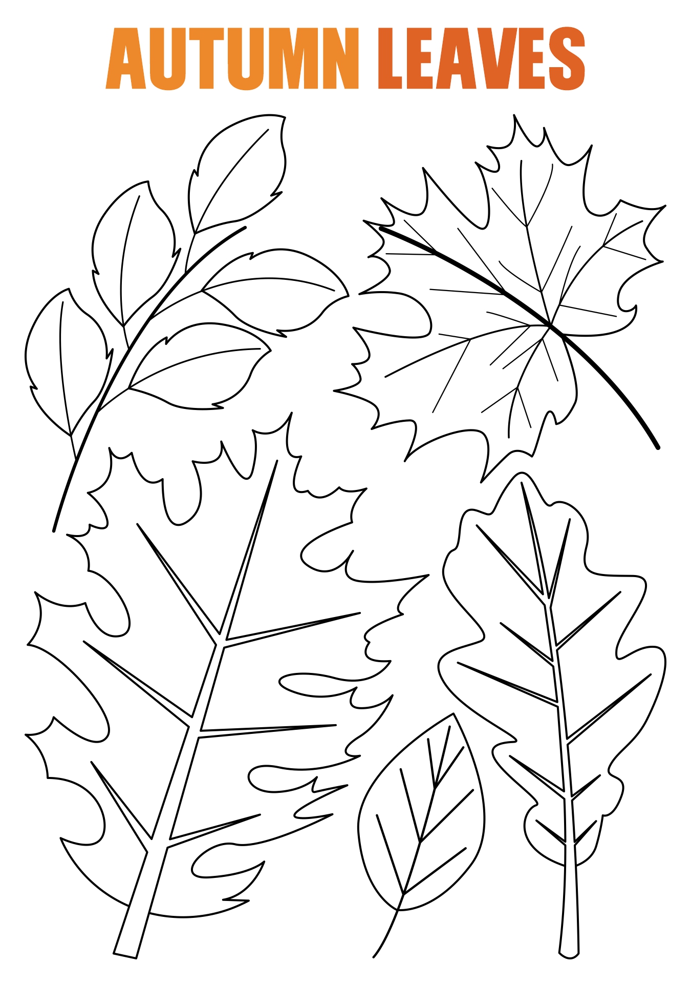 Fall Leaves Coloring Sheets