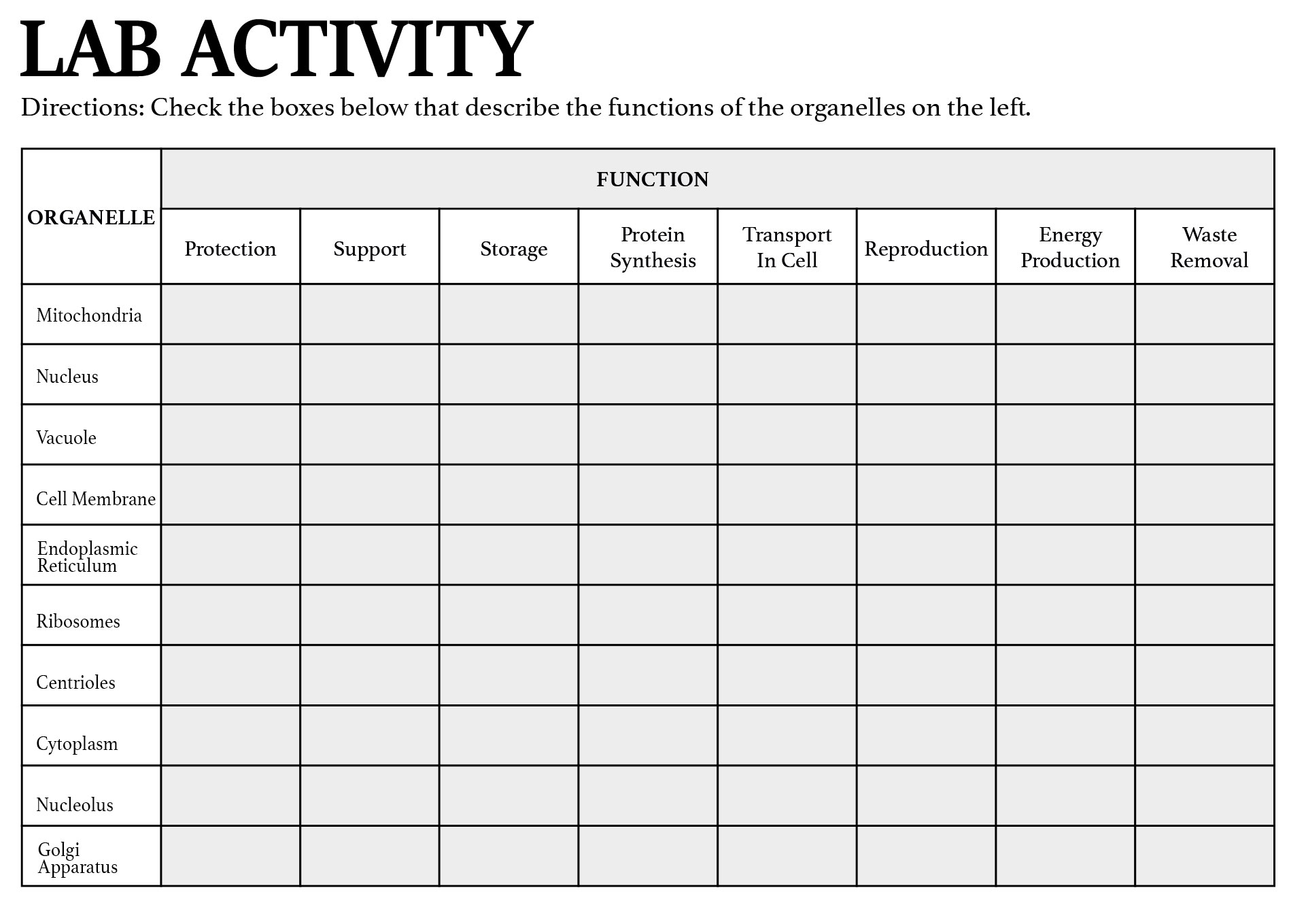 High School Biology Lab Activity Printable