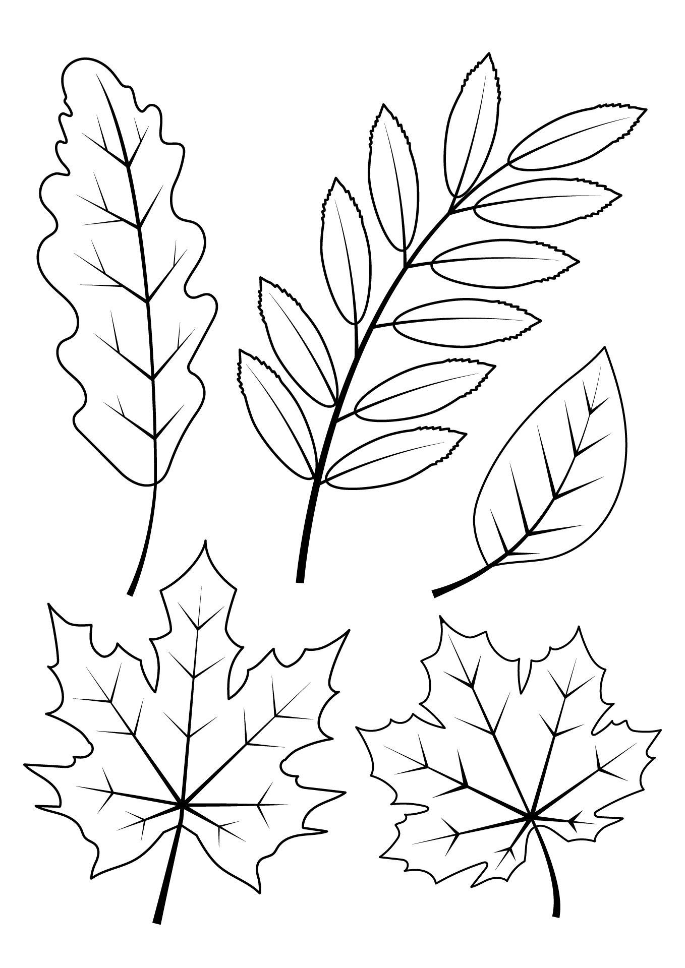 Preschool Fall Leaves Coloring Worksheets