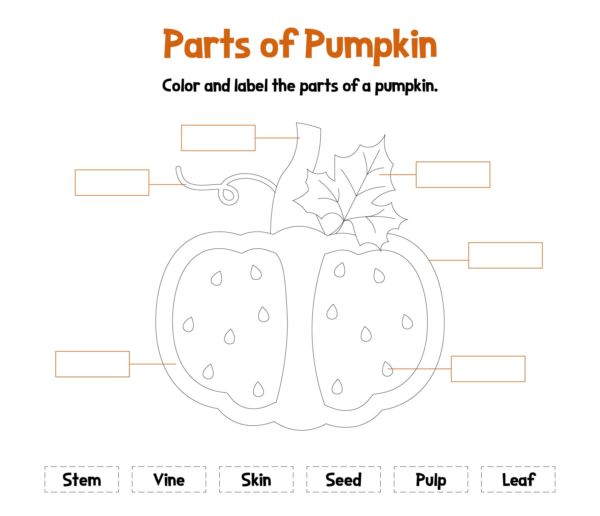 Preschool Printables for Pumpkin Science Activities