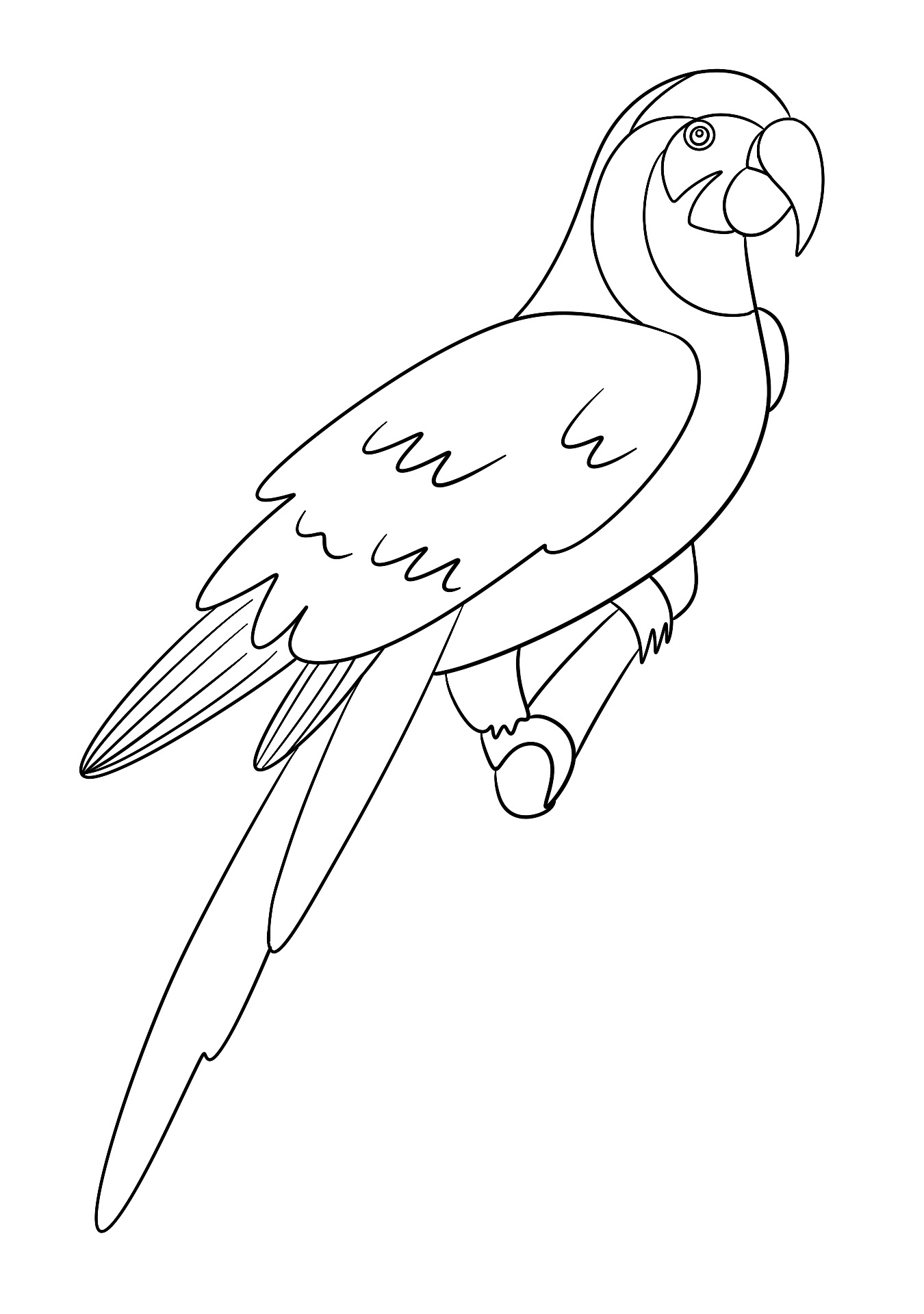 Printable Bird Species Coloring Pages Printable Bird Species Coloring Pages