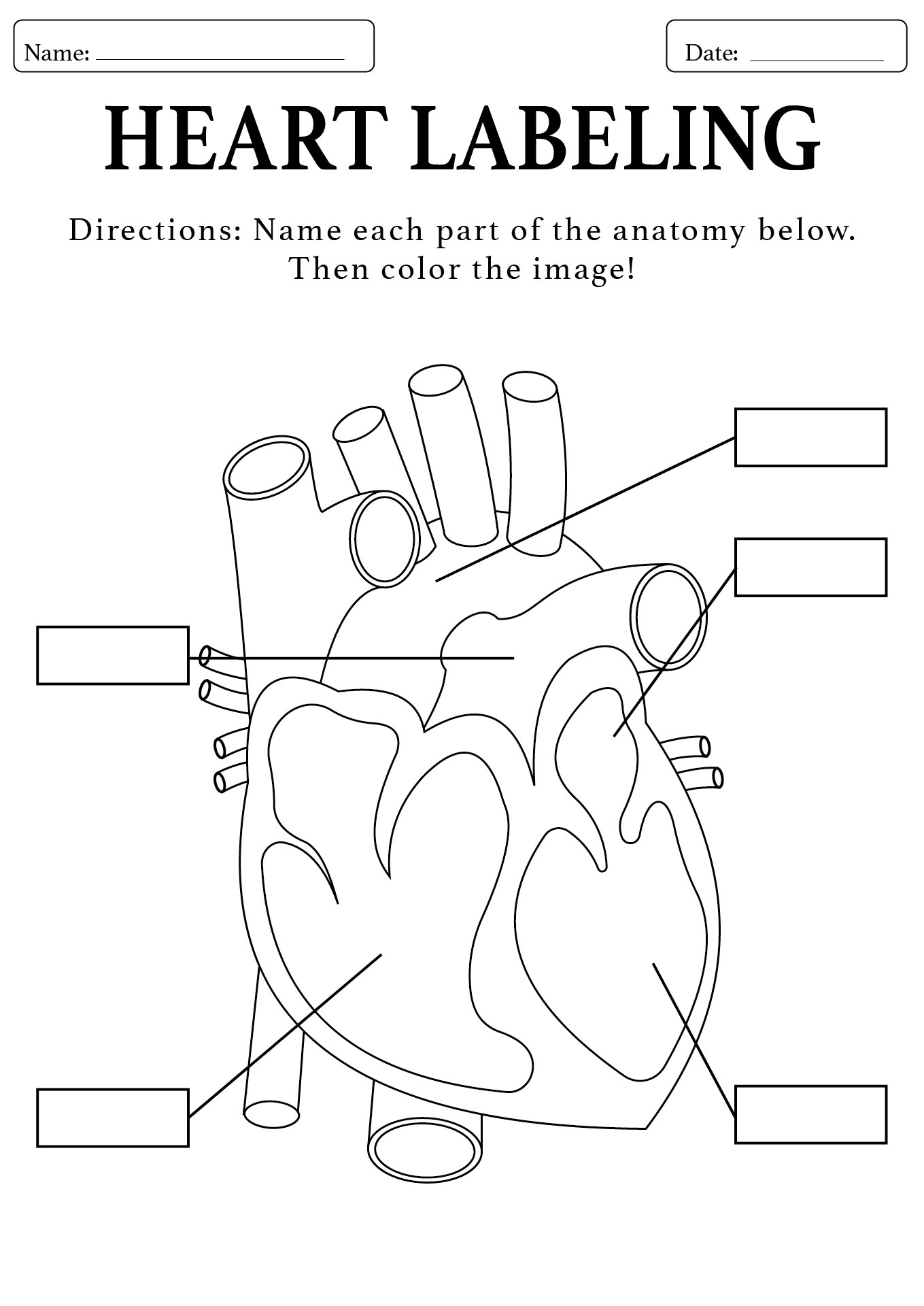 Printable High School Biology Classroom Activities