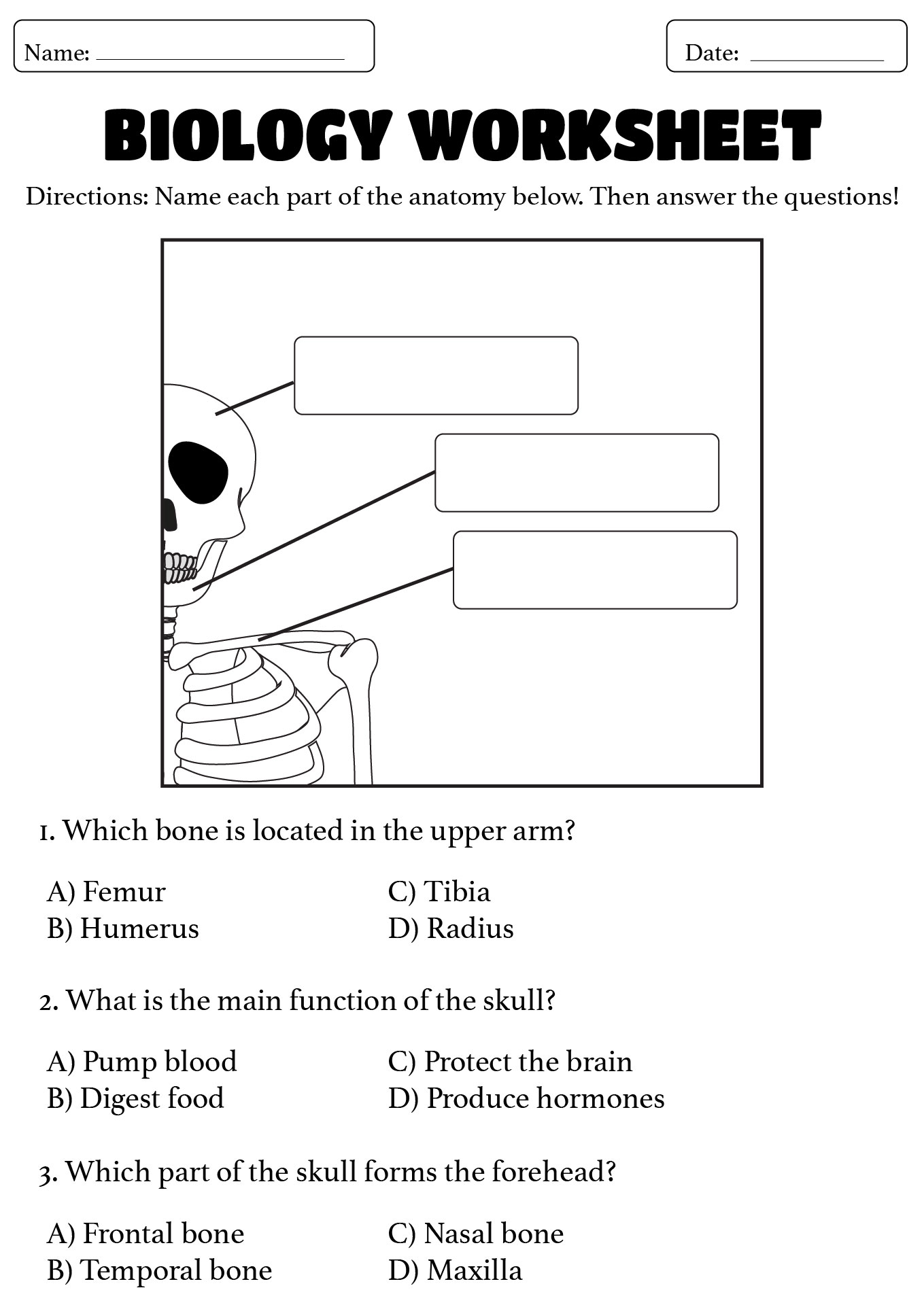 Printable High School Biology Worksheets