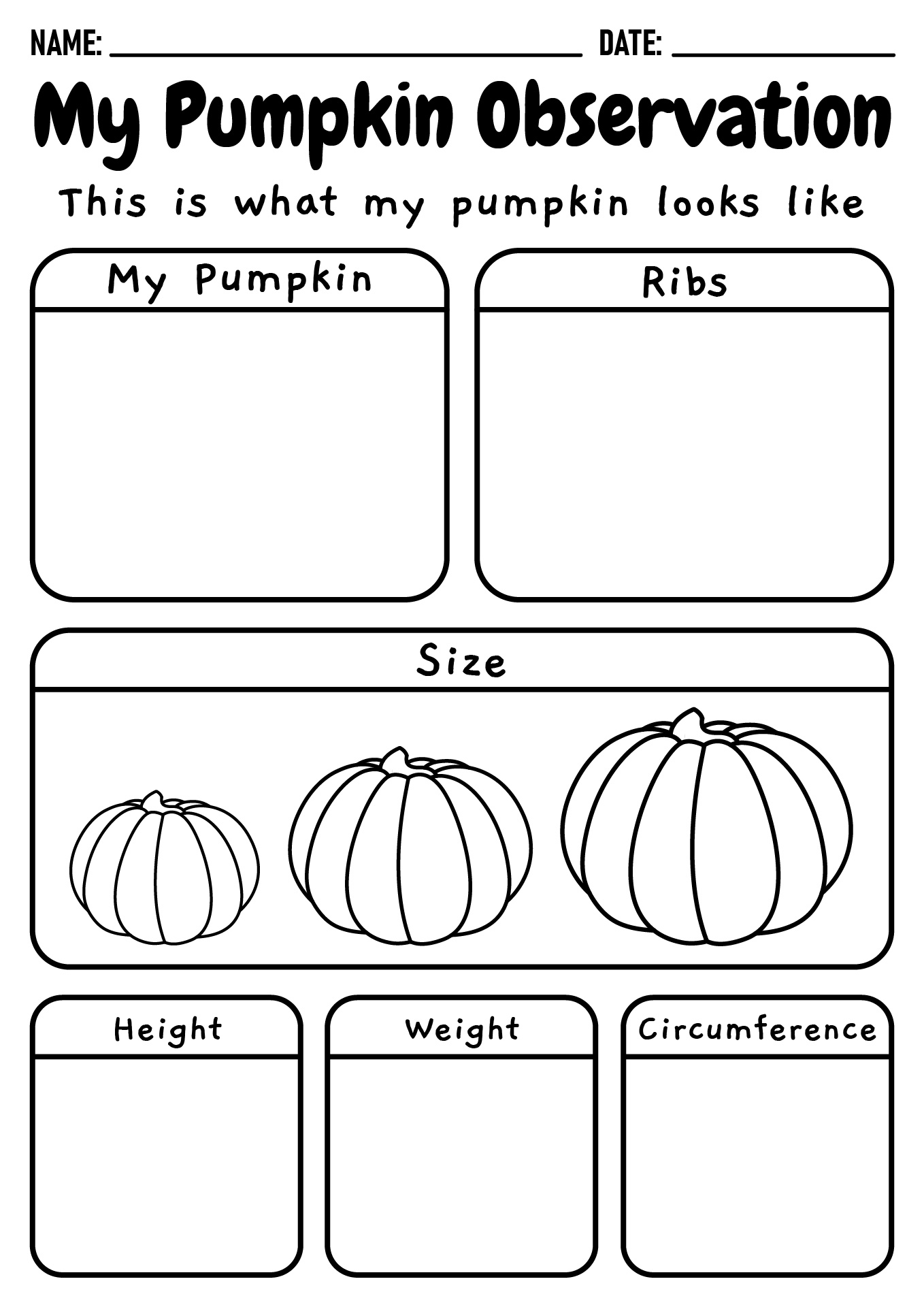 Pumpkin Science Experiments for Preschoolers