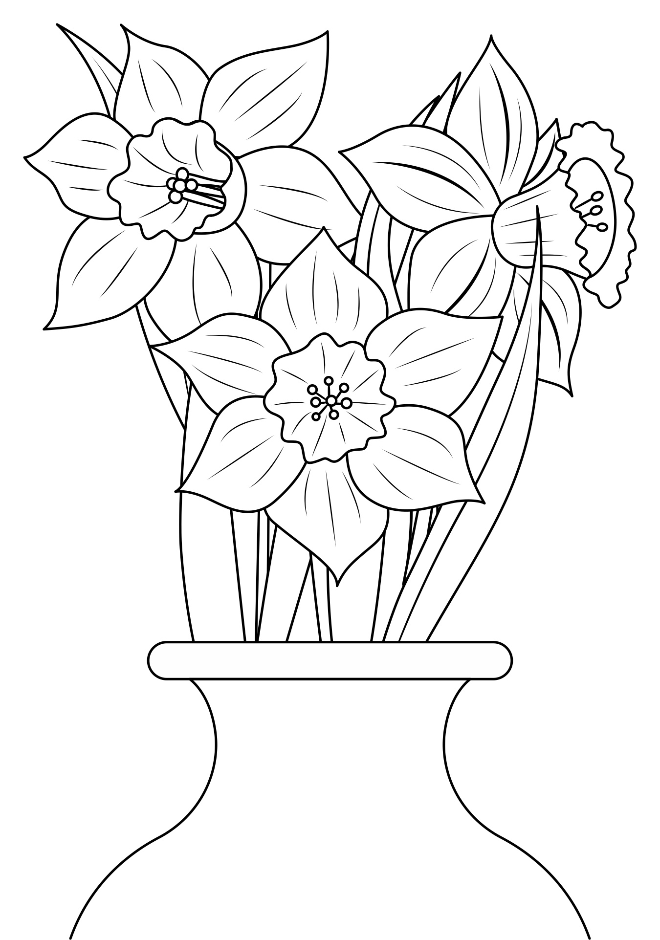 Daffodil Flower Printout for Coloring Daffodil Flower Printout for Coloring