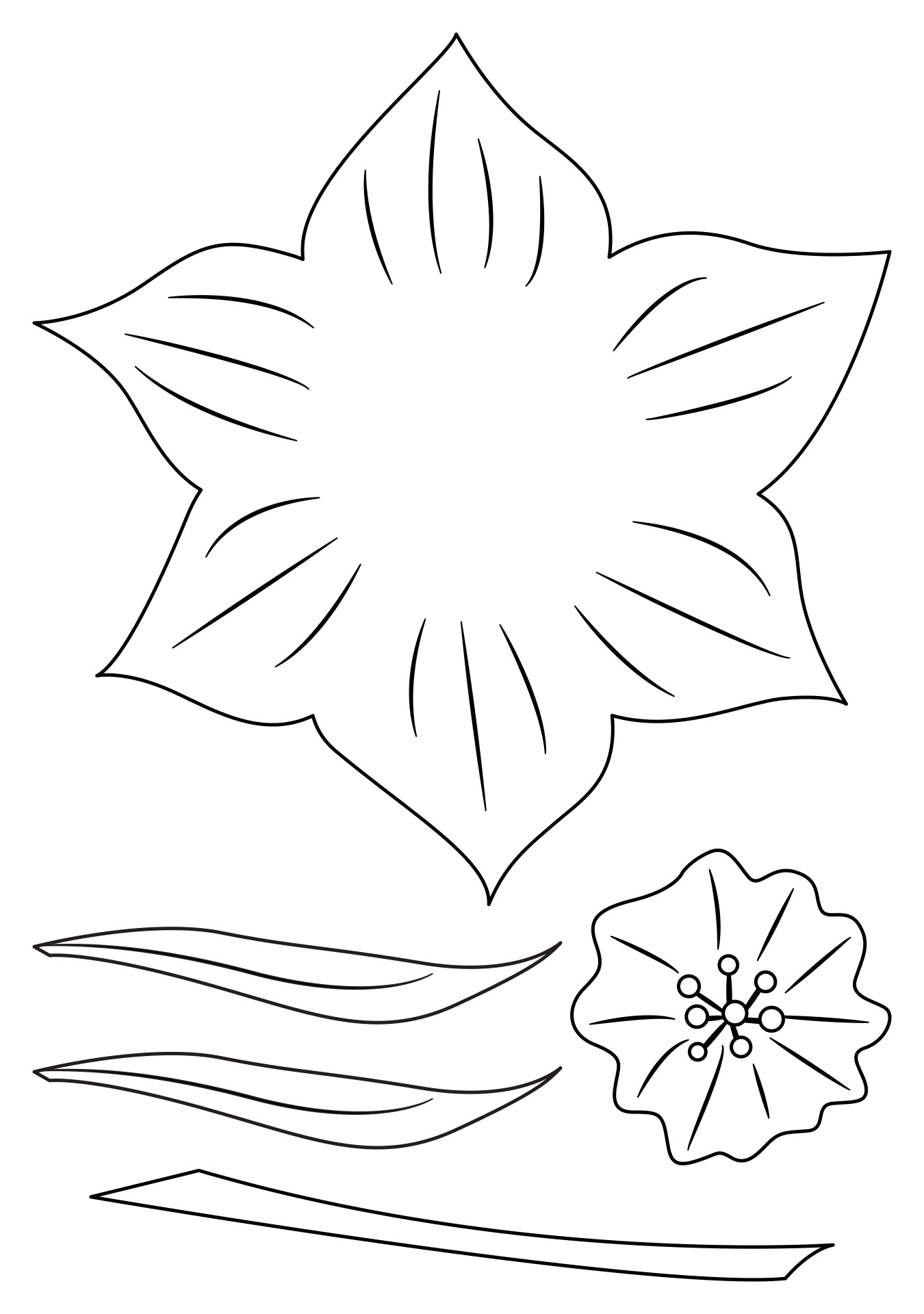 Daffodil Printable Pattern Daffodil Printable Pattern