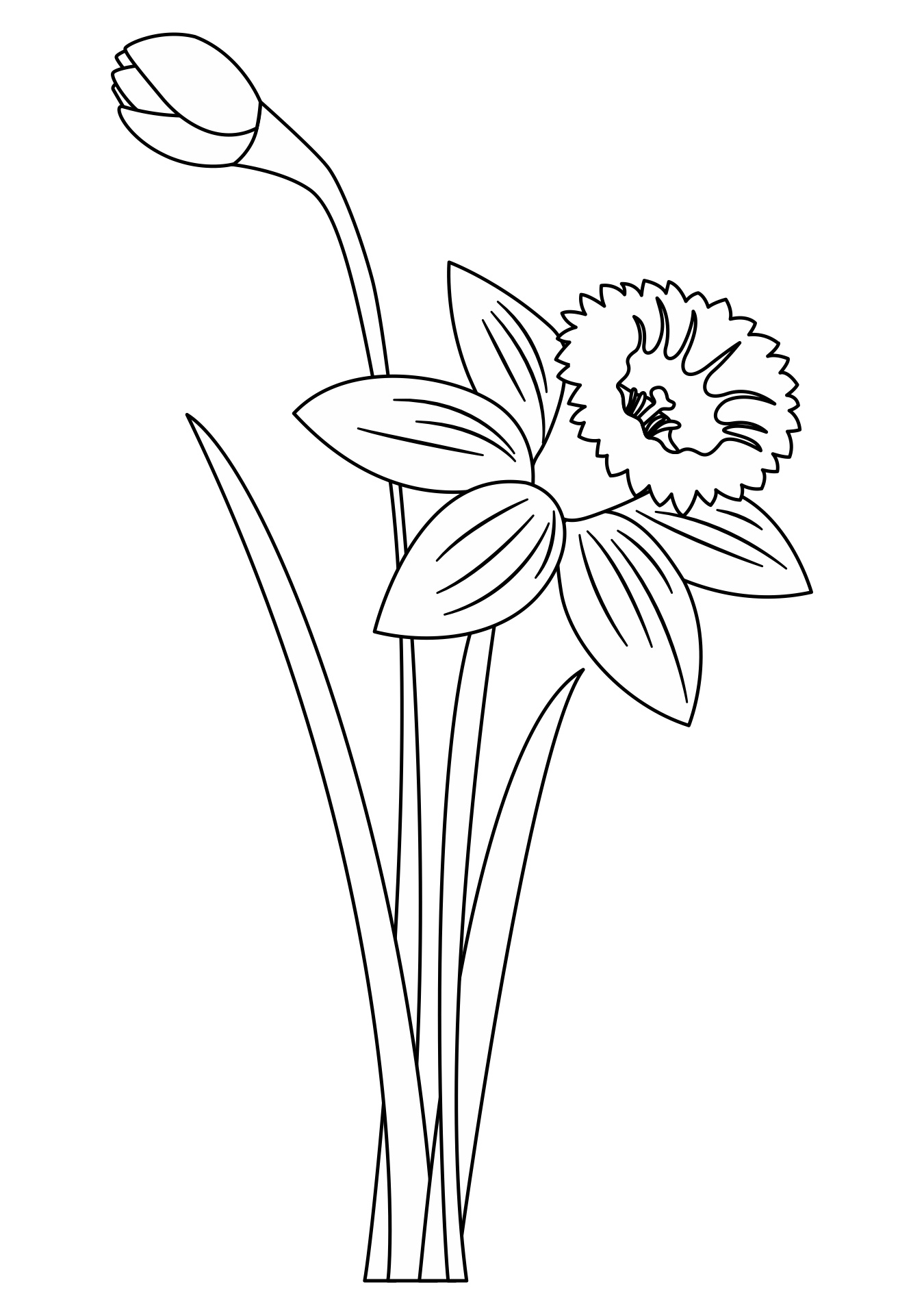 Spring Daffodil Illustration Printable Spring Daffodil Illustration Printable
